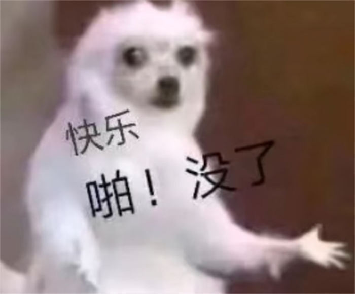 我用1条500播放量的抖音作品,引流19个精准客户 网络营销 引流 抖音 SEO推广 第4张 我用1条500播放量的抖音作品,引流19个精准客户 网络营销 引流 抖音 SEO推广 第4张