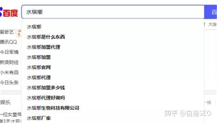我是如何从百度获取精准搜索流量变现1万/月? SEO 引流 流量 SEO推广 第3张 我是如何从百度获取精准搜索流量变现1万/月? SEO 引流 流量 SEO推广 第3张