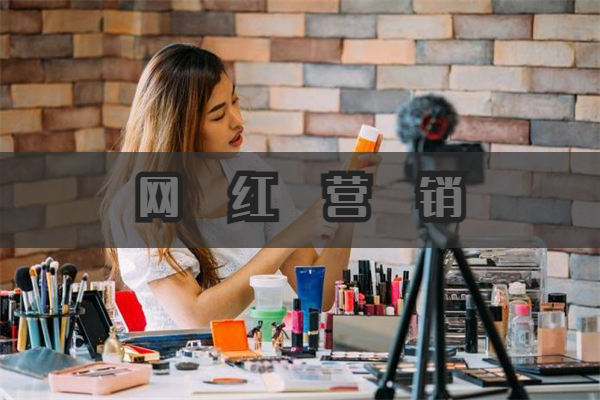 找tiktok网红之前，先搞懂这几个问题 TikTok 网红 营销 直播带货 经验心得 第1张
