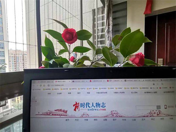 医疗软文这么撰写,广告费用起码省下80%? 软文 营销 建站教程 第1张 医疗软文这么撰写,广告费用起码省下80%? 软文 营销 建站教程 第1张