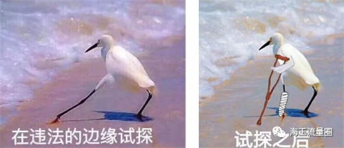 从创造营到新媒体 海王带你骚遍新媒体路(上) <a href=https://www.cgtblog.com/e/tags/?tagid=1127 target=_blank class=infotextkey>自媒体</a> 互联网 博客运营 第4张 从创造营到新媒体 海王带你骚遍新媒体路(上) <a href=https://www.cgtblog.com/e/tags/?tagid=1127 target=_blank class=infotextkey>自媒体</a> 互联网 博客运营 第4张