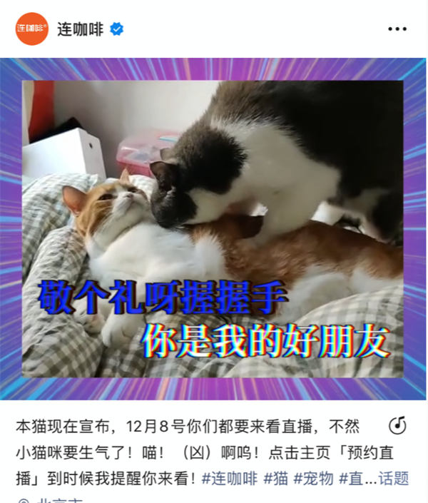 视频号内容创作与账号运营有哪些方法论？ 视频号 建站教程 第5张