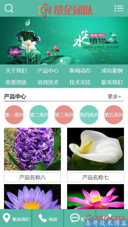 鲜花水草花卉类公司企业网站模板（带手机端）【D177】