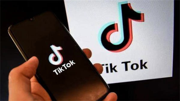 一个星期如何实现Tiktok快速涨粉15k TikTok 引流 经验心得 第11张