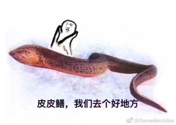 女主播琪琪黄鳝门事件皮皮鳝表情包走红 琪琪黄鳝视频叫板直播造人