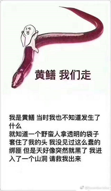 女主播琪琪黄鳝门事件皮皮鳝表情包走红 琪琪黄鳝视频叫板直播造人