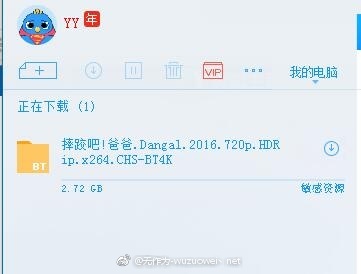 印度高分电影《摔跤吧爸爸》DVD中字伪高清